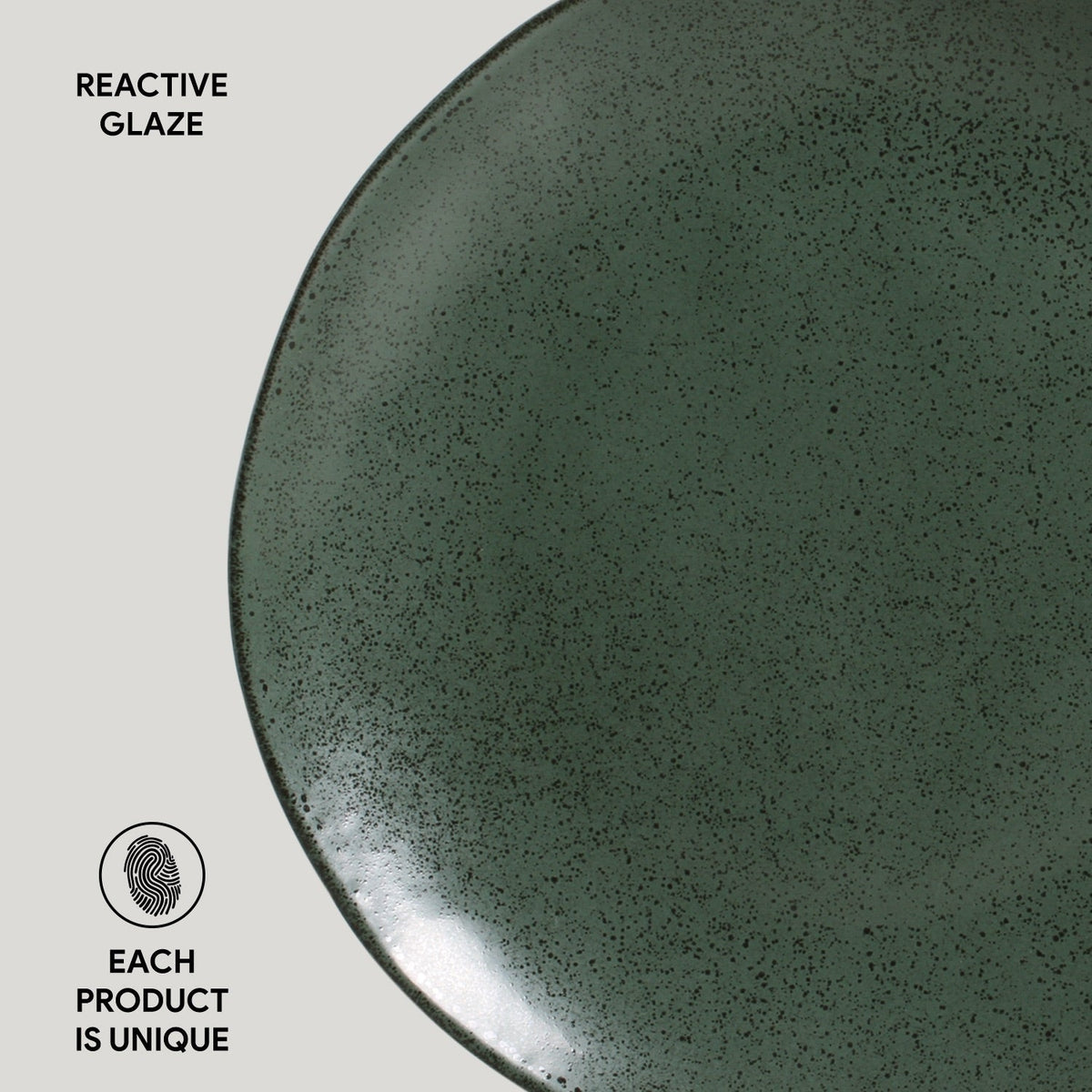 Dinner Plate Set of 6