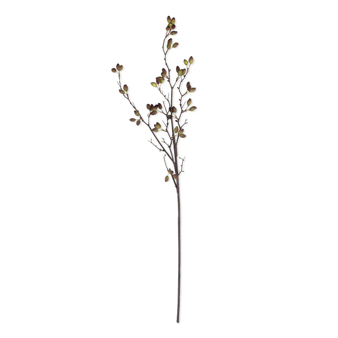 Barberry Stem 38" - Single Stem Artificial Greenery