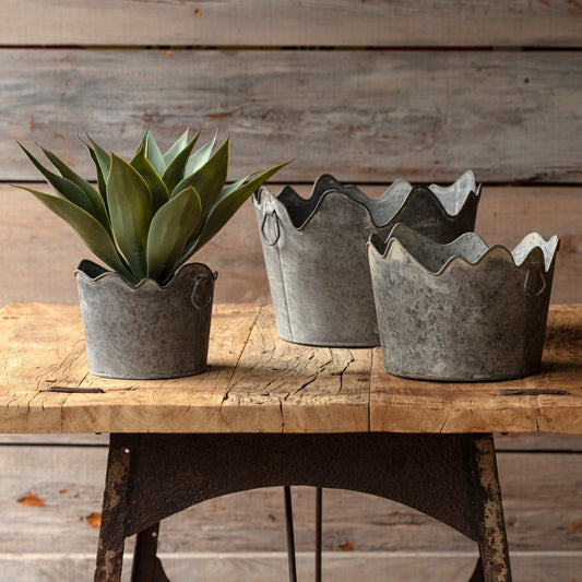 Corona Metal Planters - Three Sizes