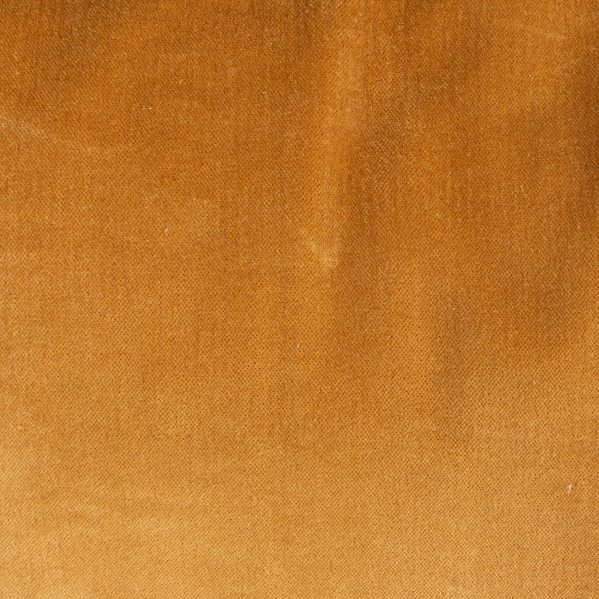 20" Square Cotton Velvet Pillow with Ruffled Trim, Mustard Color