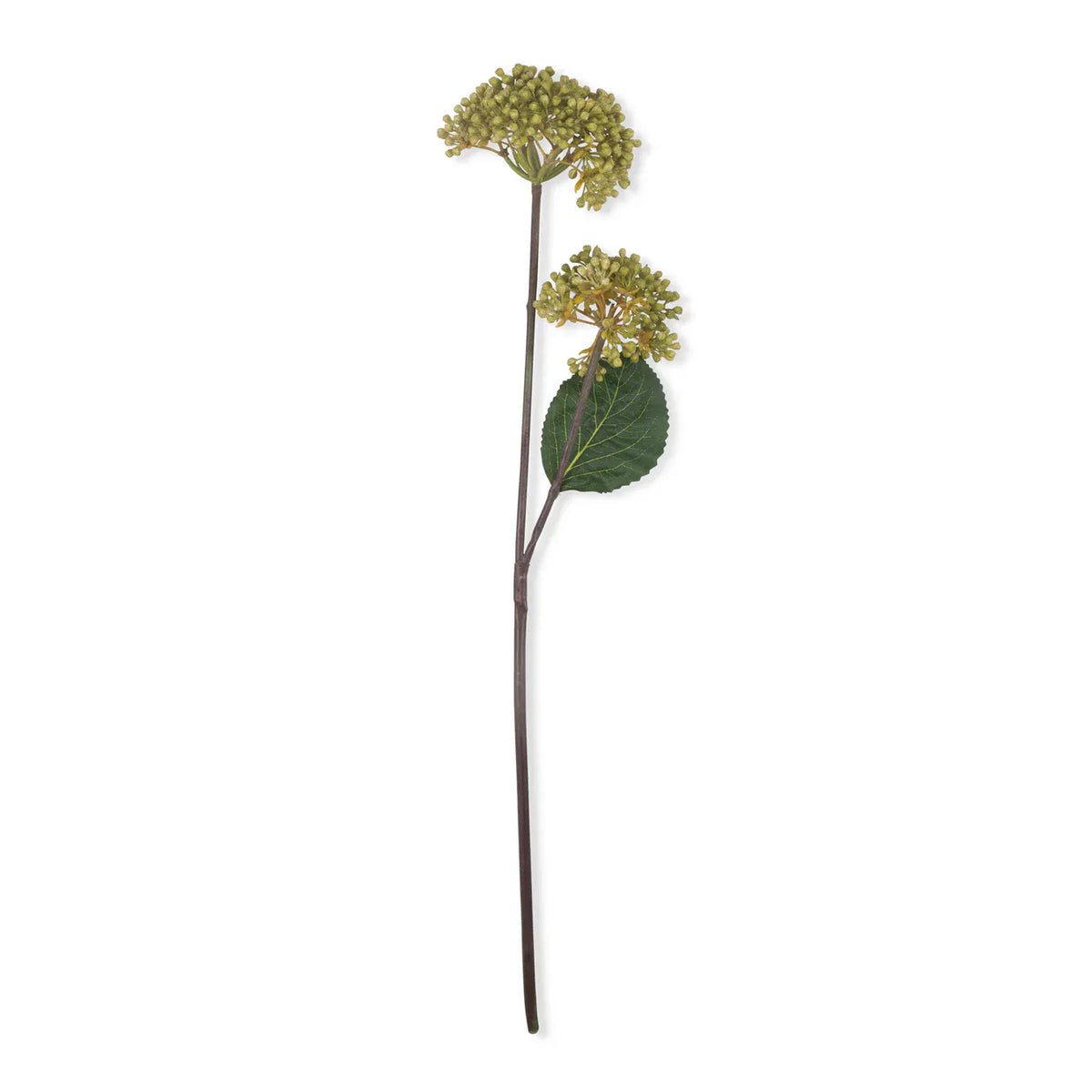 Green Viburnum Olive Stem 23" - Single Stem Artificial Greenery