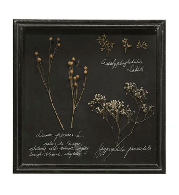White Cliff Studio Dried Botanical Shadow Box