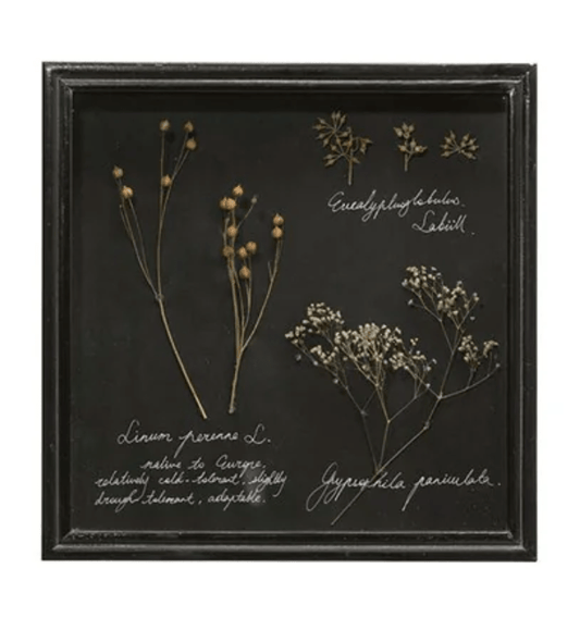 White Cliff Studio Dried Botanical Shadow Box