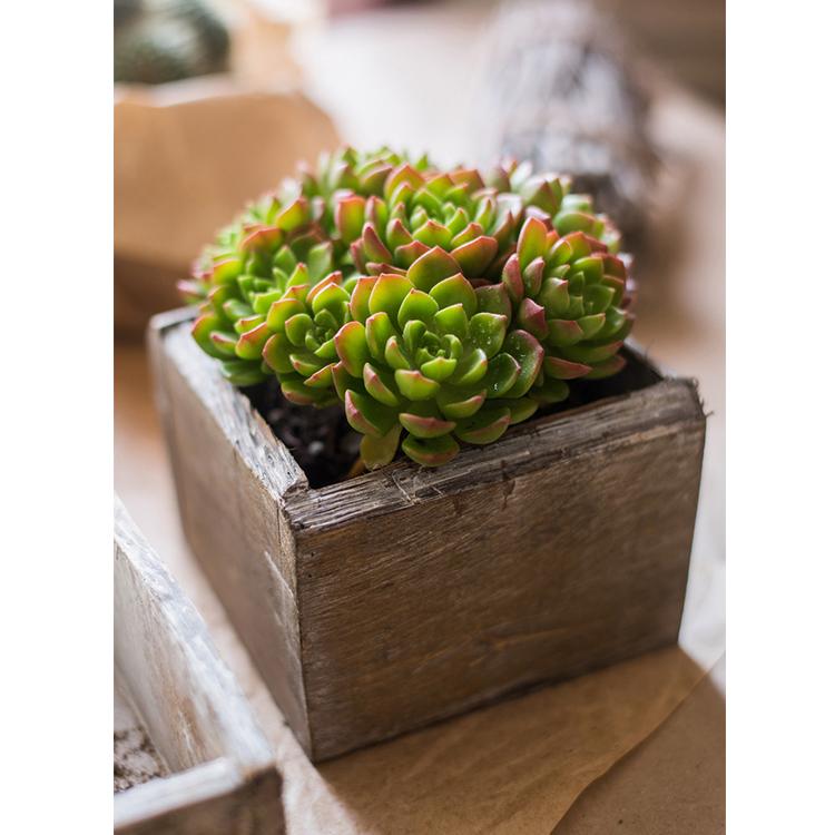 Wood Table Box Set